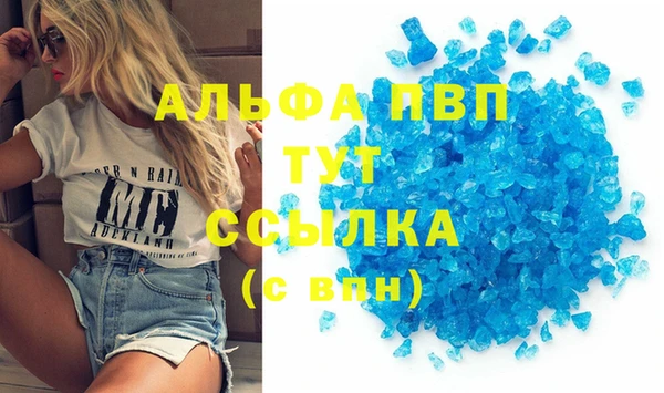 индика Болотное