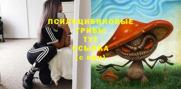 мескалин Новозыбков