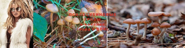 мескалин Новозыбков