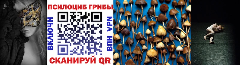 Галлюциногенные грибы Psilocybe  Ковылкино 